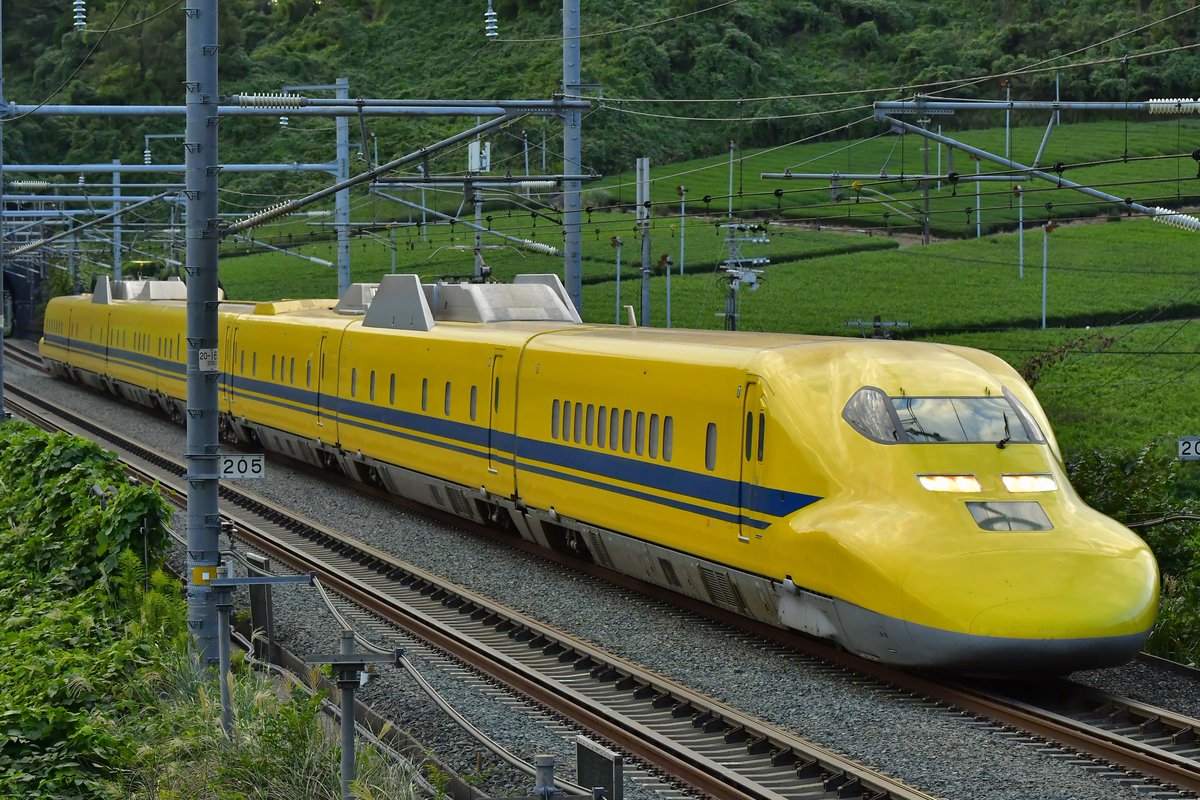 233_8001's tweet photo. 2024.10.6
東海道新幹線　掛川〜静岡にて
有名な菊川のお立ち台でドクターイエローを撮影。
草むらの中だったので虫に刺されまくりました…笑 https://t.co/LXGbR0aR66