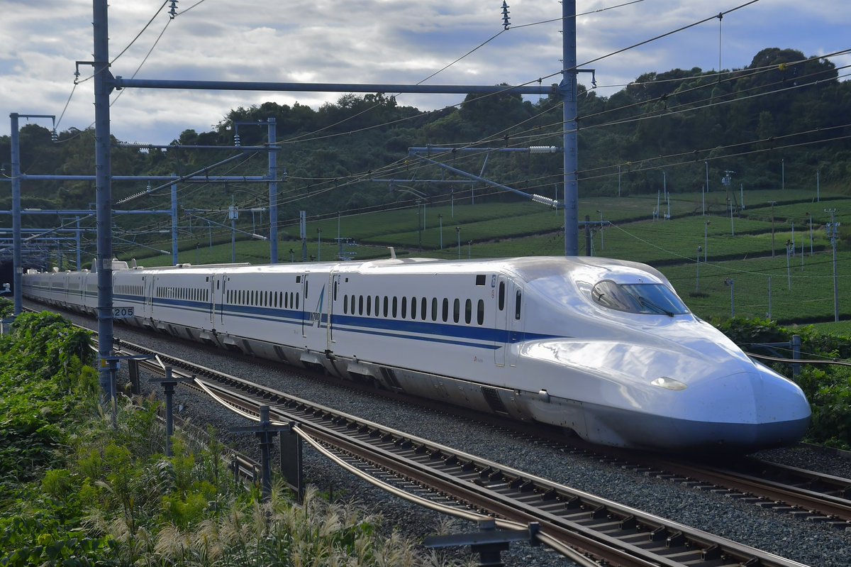 233_8001's tweet photo. 2024.10.6
東海道新幹線　掛川〜静岡にて
有名な菊川のお立ち台でドクターイエローを撮影。
草むらの中だったので虫に刺されまくりました…笑 https://t.co/LXGbR0aR66