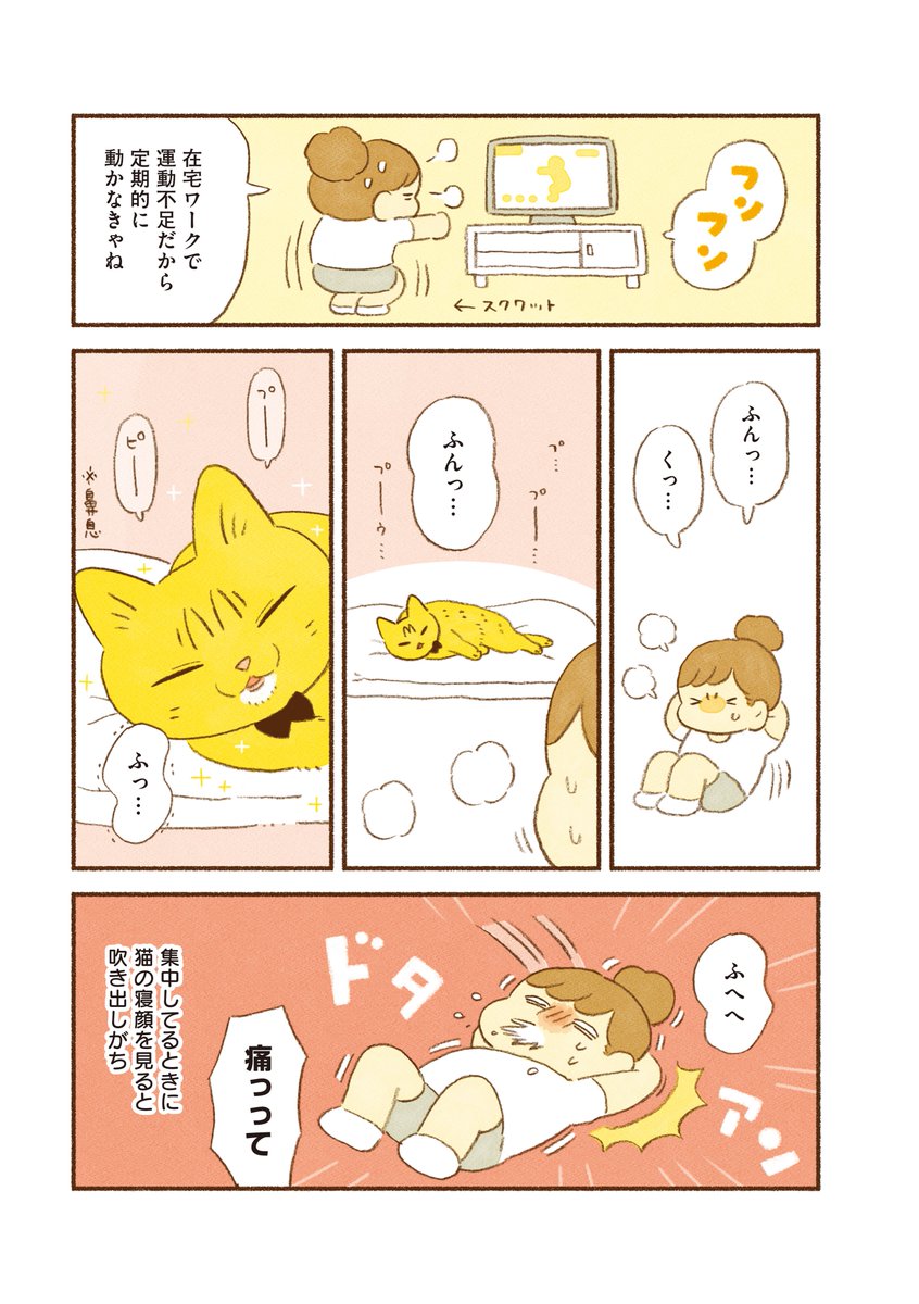 猫エッセイ
まとめ読み5本立て②
(1/5) 