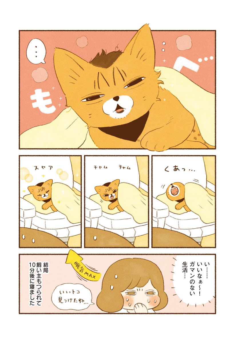 猫エッセイ
まとめ読み5本立て②
(1/5) 