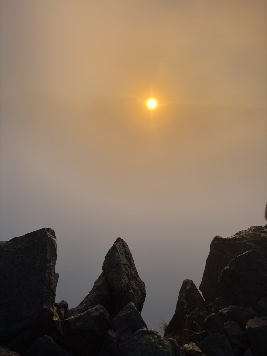 吉成 晃 / Akira YOSHINARI tweet media