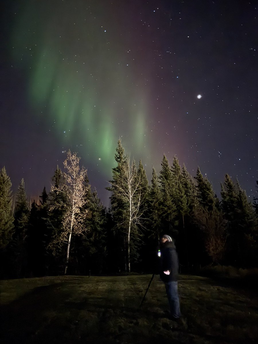 Backyard vibes right now. 27 F (-3C)