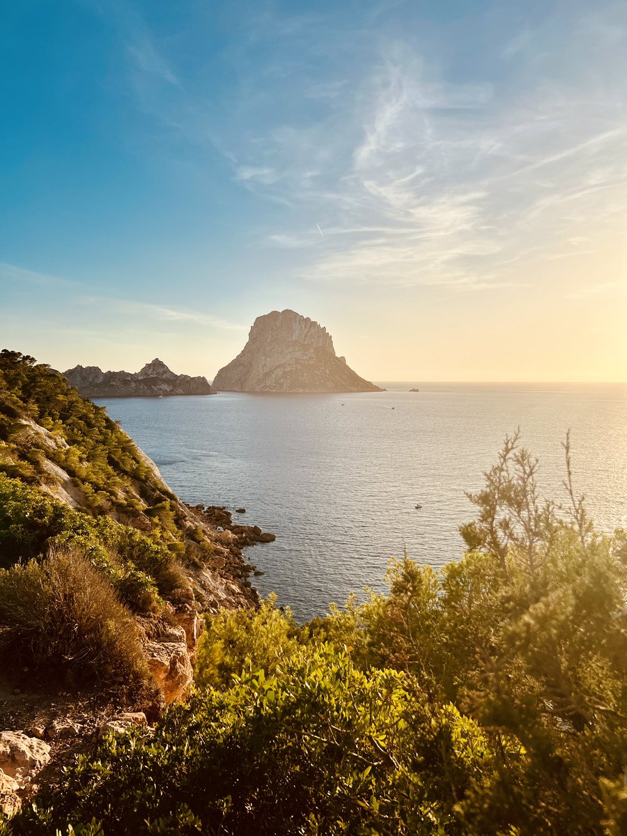 Joseph Berry® tweet media