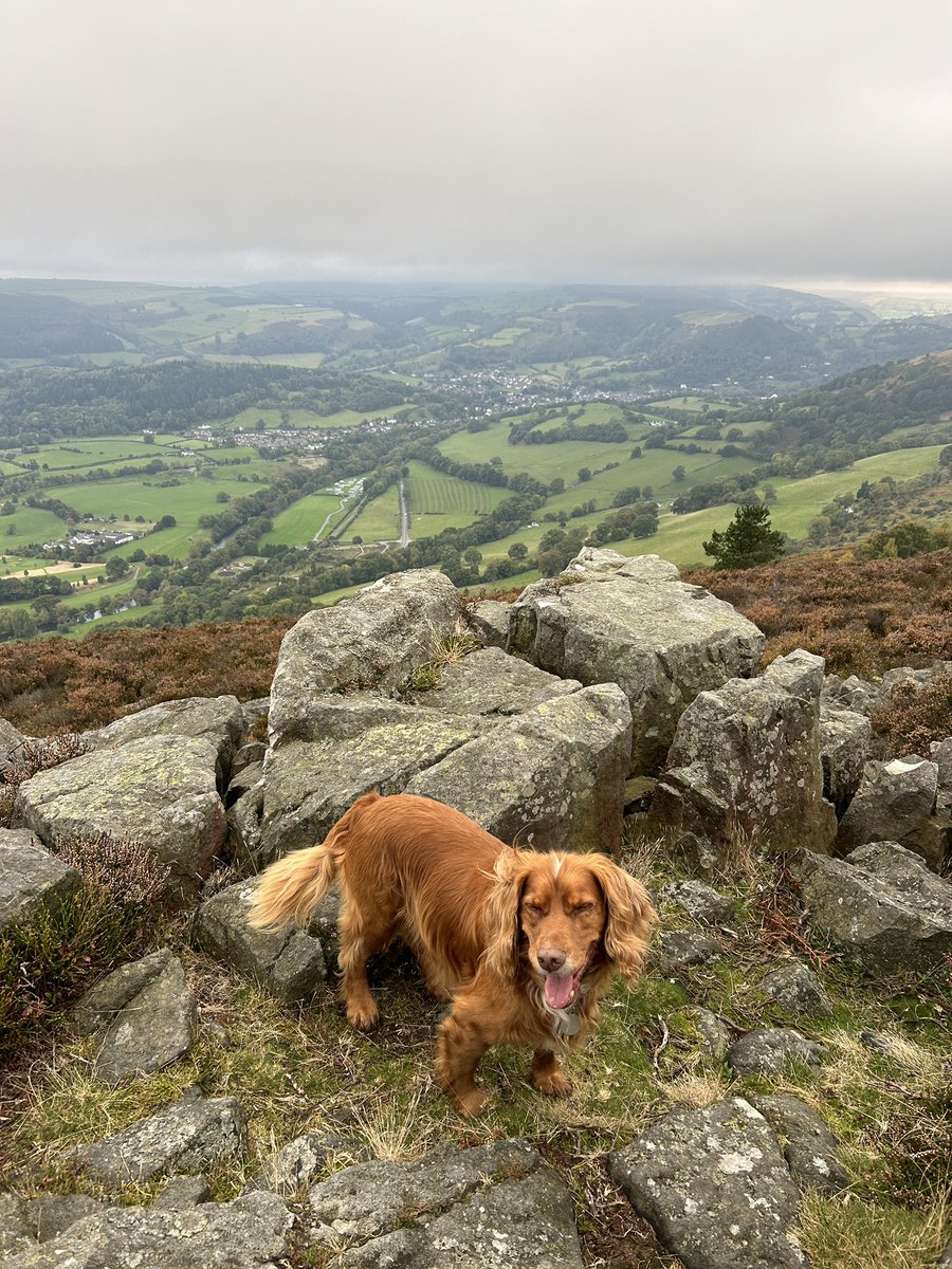 George Hartley (@kingsschoolhead) on Twitter photo Nothing like a good bracing walk in the hills to clear your head and remember what’s important in life. Jake agrees! <a href="/kingschester/">The King's School</a> Nothing like a good bracing walk in the hills to clear your head and remember what’s important in life. Jake agrees! <a href="/kingschester/">The King's School</a>