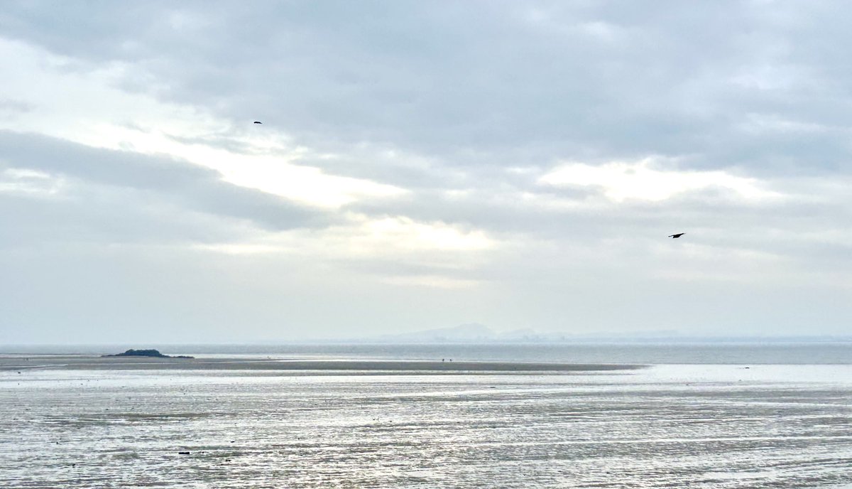 DavidRobb22's tweet image. #ForthWatch Steely Sunday 🙂