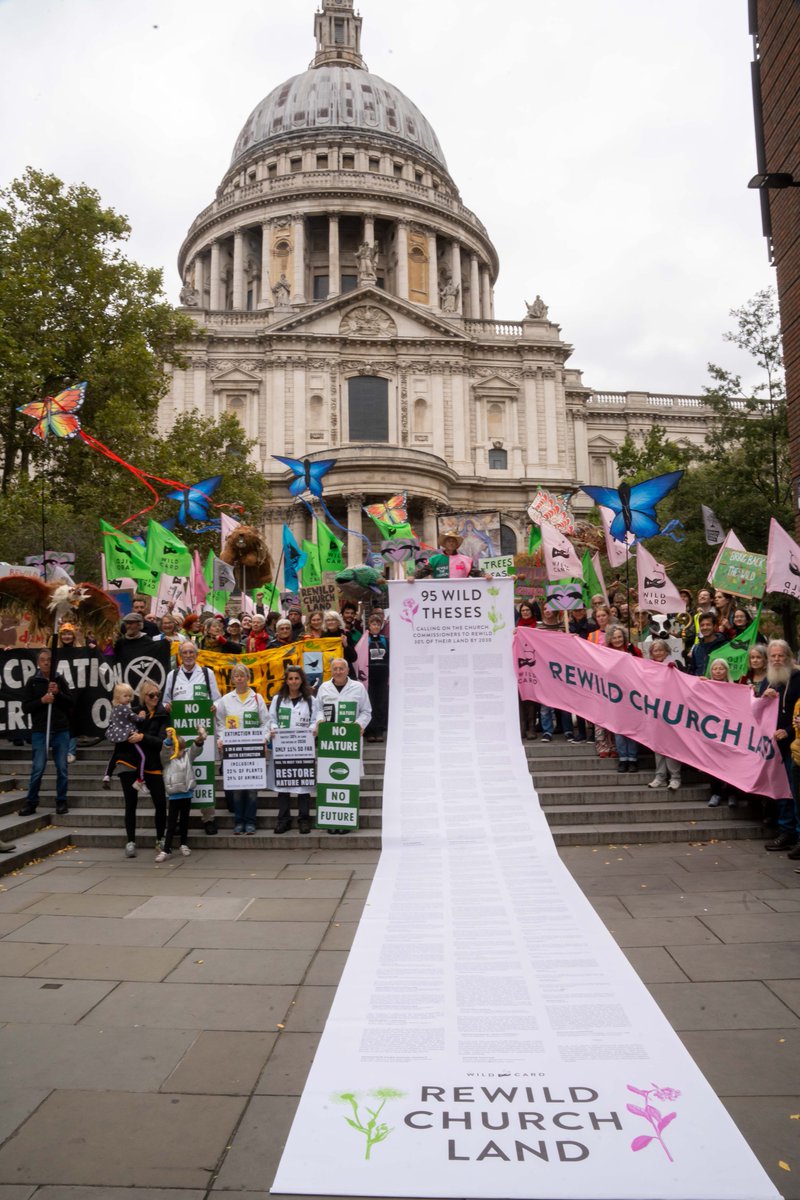 Wild Card (@wildcardrewild) on Twitter photo 🌿 We delivered our '95 Wild Theses'! 🌿
Including entries from <a href="/stephenfry/">Sir Stephen Fry</a> <a href="/michaelgove/">Michael Gove</a> <a href="/CarolineLucas/">Caroline Lucas</a> <a href="/HughFW/">Hugh Fearnley-Whittingstall</a> <a href="/MPGeorgeEustice/">GeorgeEusticeMP</a> and delivered alongside <a href="/ChrisGPackham/">Chris Packham</a> and @CClimateAction, this out our collective call for a wilder church!
👉👉wildcard.land/campaigns/rewi… 🌿 We delivered our '95 Wild Theses'! 🌿
Including entries from <a href="/stephenfry/">Sir Stephen Fry</a> <a href="/michaelgove/">Michael Gove</a> <a href="/CarolineLucas/">Caroline Lucas</a> <a href="/HughFW/">Hugh Fearnley-Whittingstall</a> <a href="/MPGeorgeEustice/">GeorgeEusticeMP</a> and delivered alongside <a href="/ChrisGPackham/">Chris Packham</a> and @CClimateAction, this out our collective call for a wilder church!
👉👉wildcard.land/campaigns/rewi…