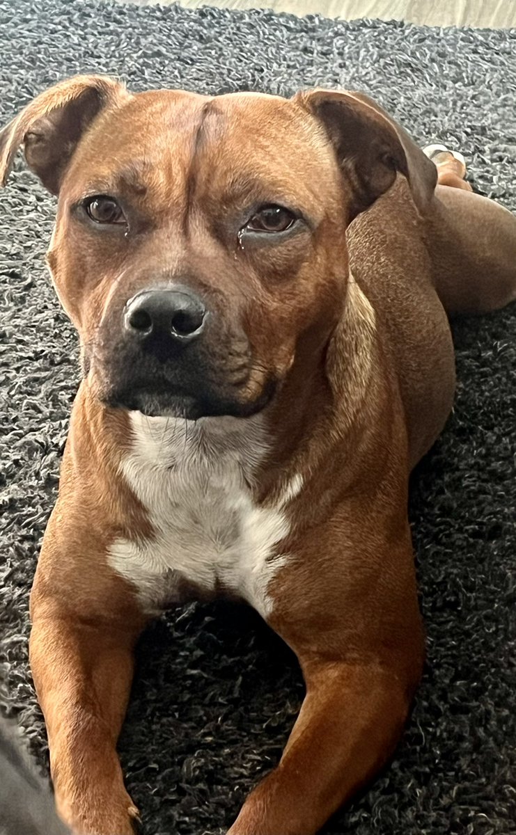 Our cute little girl!