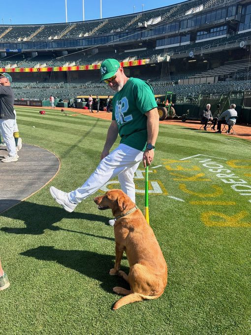 Clay Wood tweet media