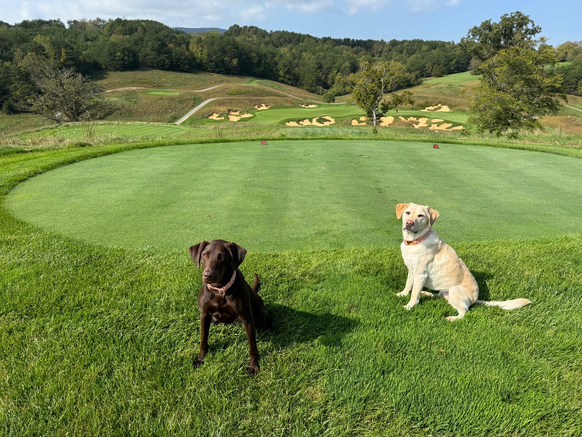 One last trip for Ella and Palmer!  They love their golf course!