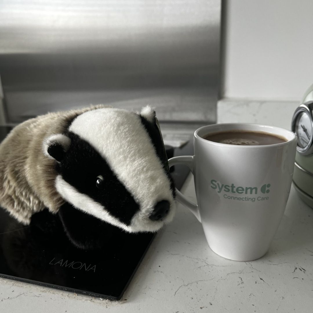 BadgerNet tweet media