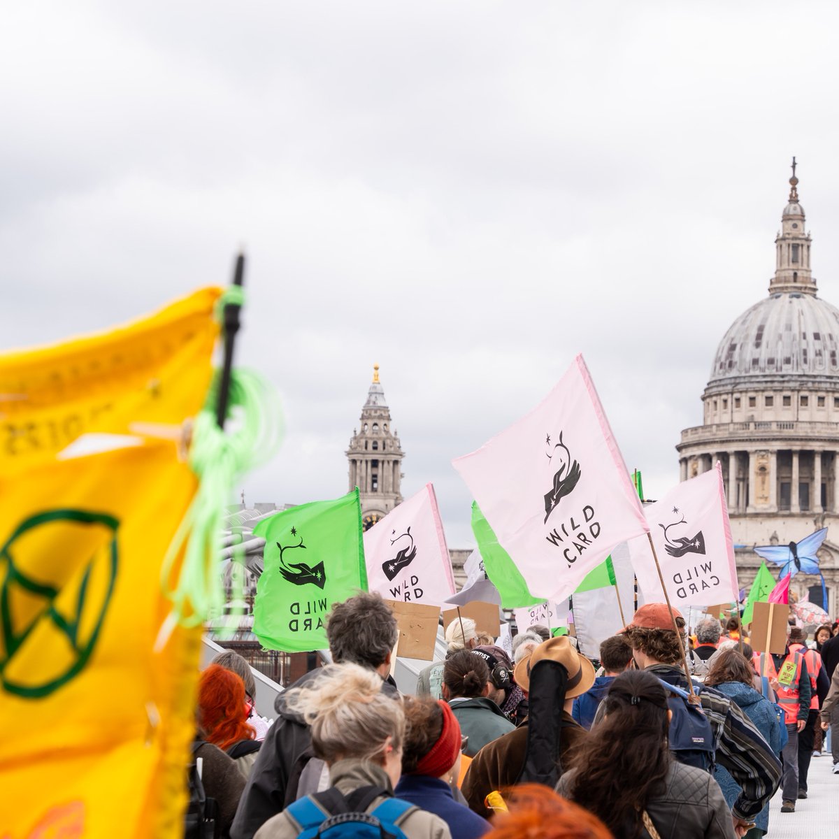 Chris Packham (@chrisgpackham) on Twitter photo The hymns that we sing have become an idyll of a vanished land . It is no longer green and pleasant , there are fewer of those bright and beautiful creatures there .
Our message to @ChurchofEngland is simple – lead from the front , and rewild your vast estate ! The hymns that we sing have become an idyll of a vanished land . It is no longer green and pleasant , there are fewer of those bright and beautiful creatures there .
Our message to @ChurchofEngland is simple – lead from the front , and rewild your vast estate !