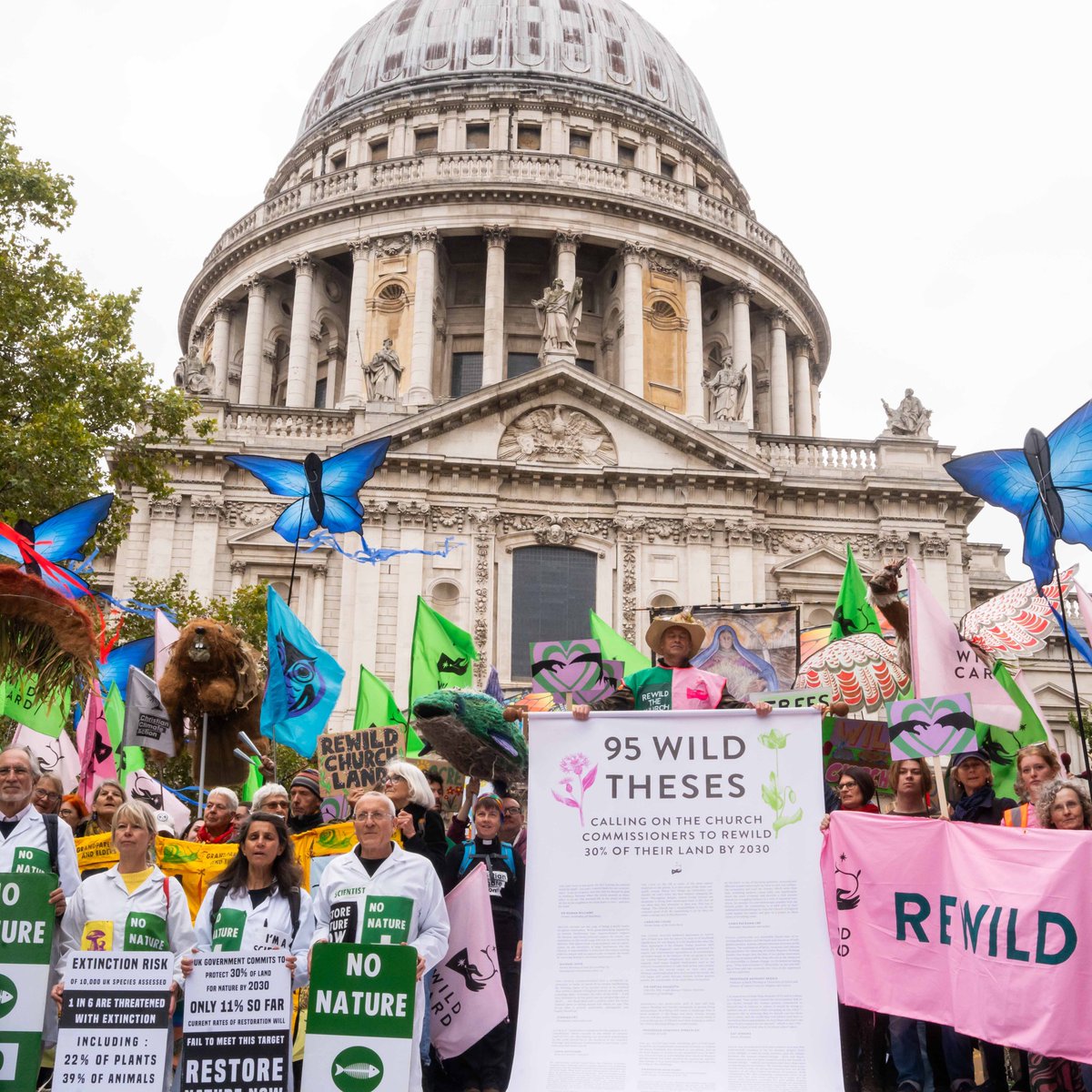 Chris Packham tweet media