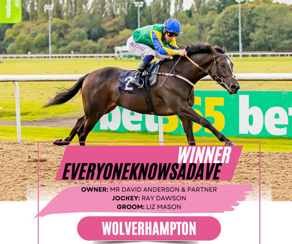 Everyoneknowsadave <a href="/DNA_1972/">David Anderson</a> <a href="/lemosdesouza1/">LDS RACING</a> got off the mark on the third time of asking <a href="/WolvesRaces/">Wolverhampton Races</a> yesterday under <a href="/Raydawson101/">Ray Dawson</a> he will be part of our <a href="/Tattersalls1766/">Tattersalls</a> Autumn HIT Sale draft