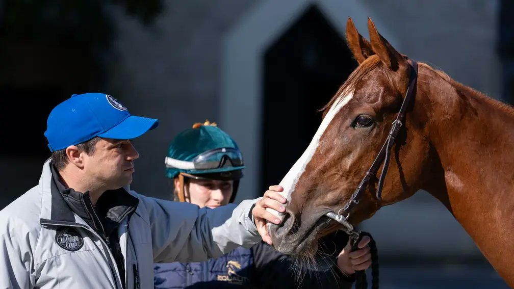 Racing Post Bloodstock tweet media