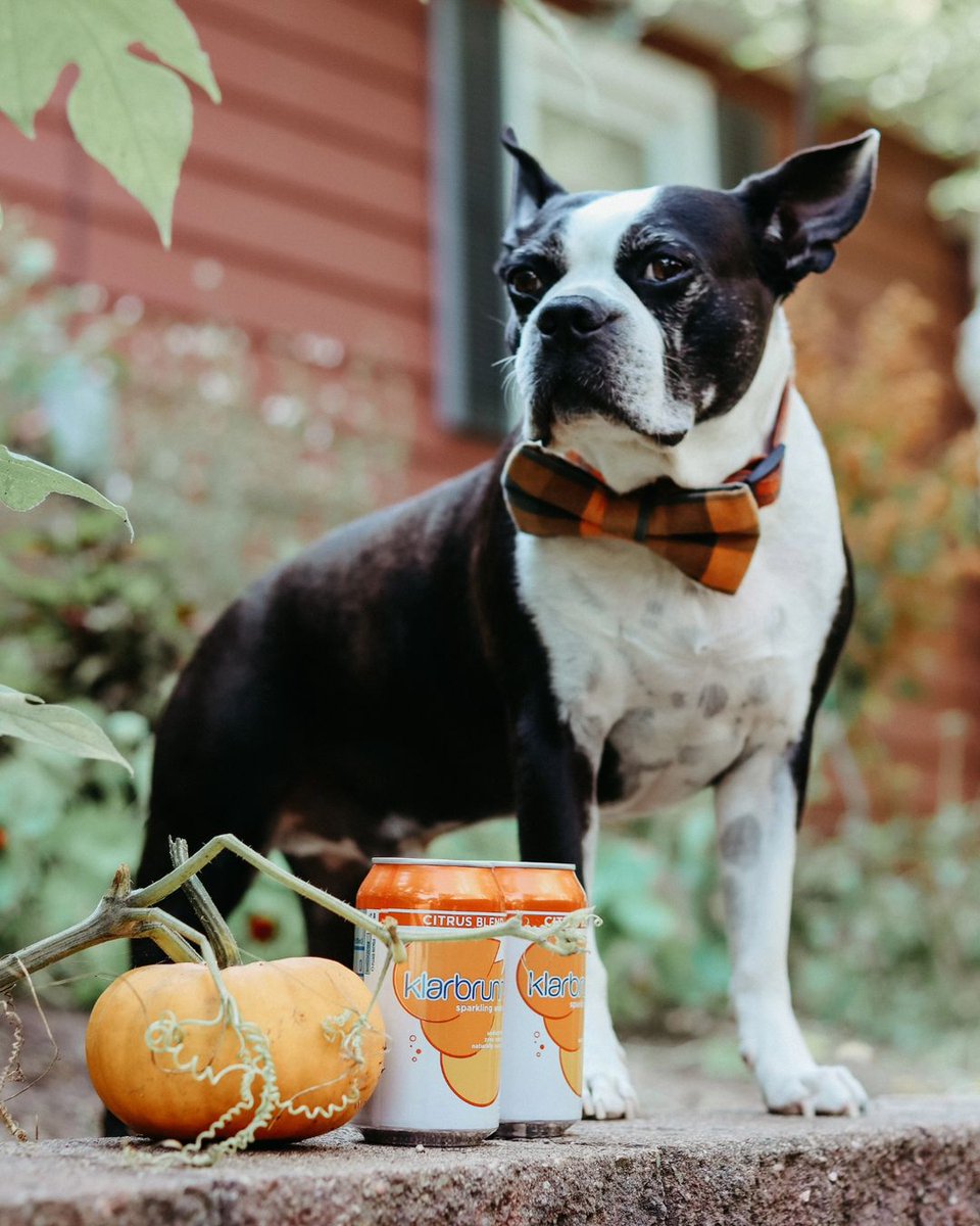 Falling for citrus blend 🍊✨