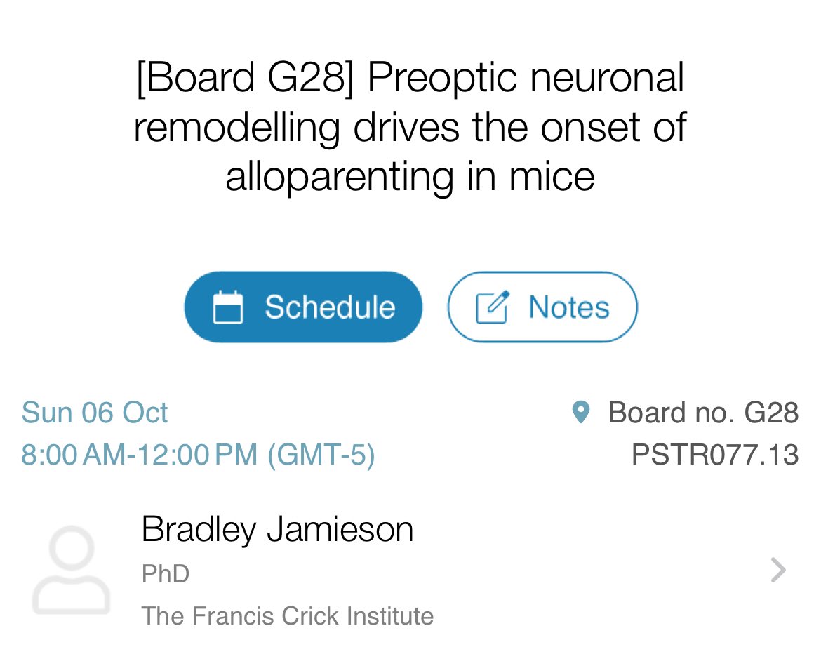 Swing by at #sfn2024 today to talk about all things parenting circuits and neuronal/glial remodelling!