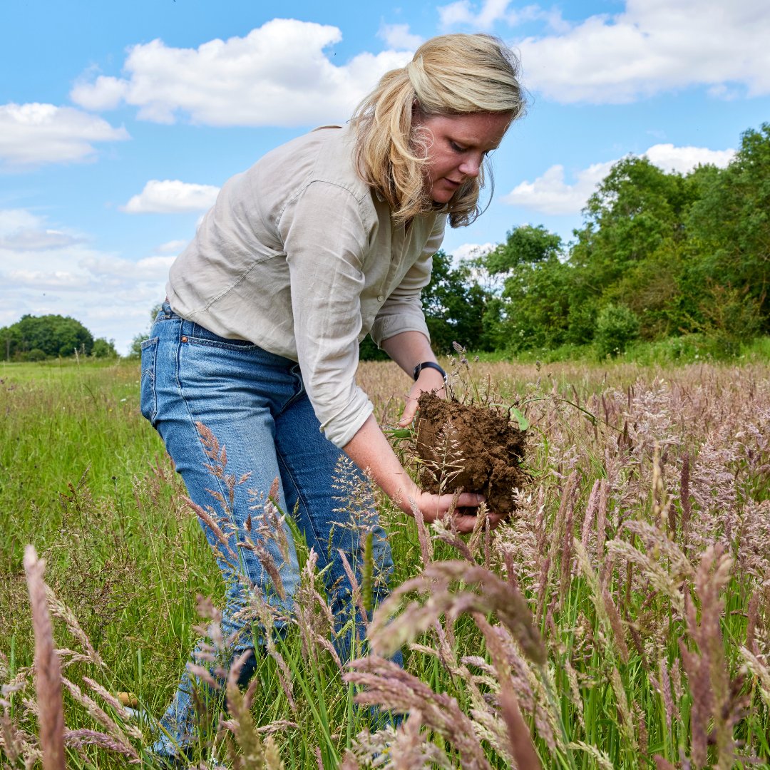 How can farmers find long-term solutions for soil health?

Project Fortress is a multi-year project at The Grange Farm.

Learn more about the effects these measures had on our soil carbon sequestration page.

#ProjectFortress #BioDiversity #Farming #SustainableAgriculture
