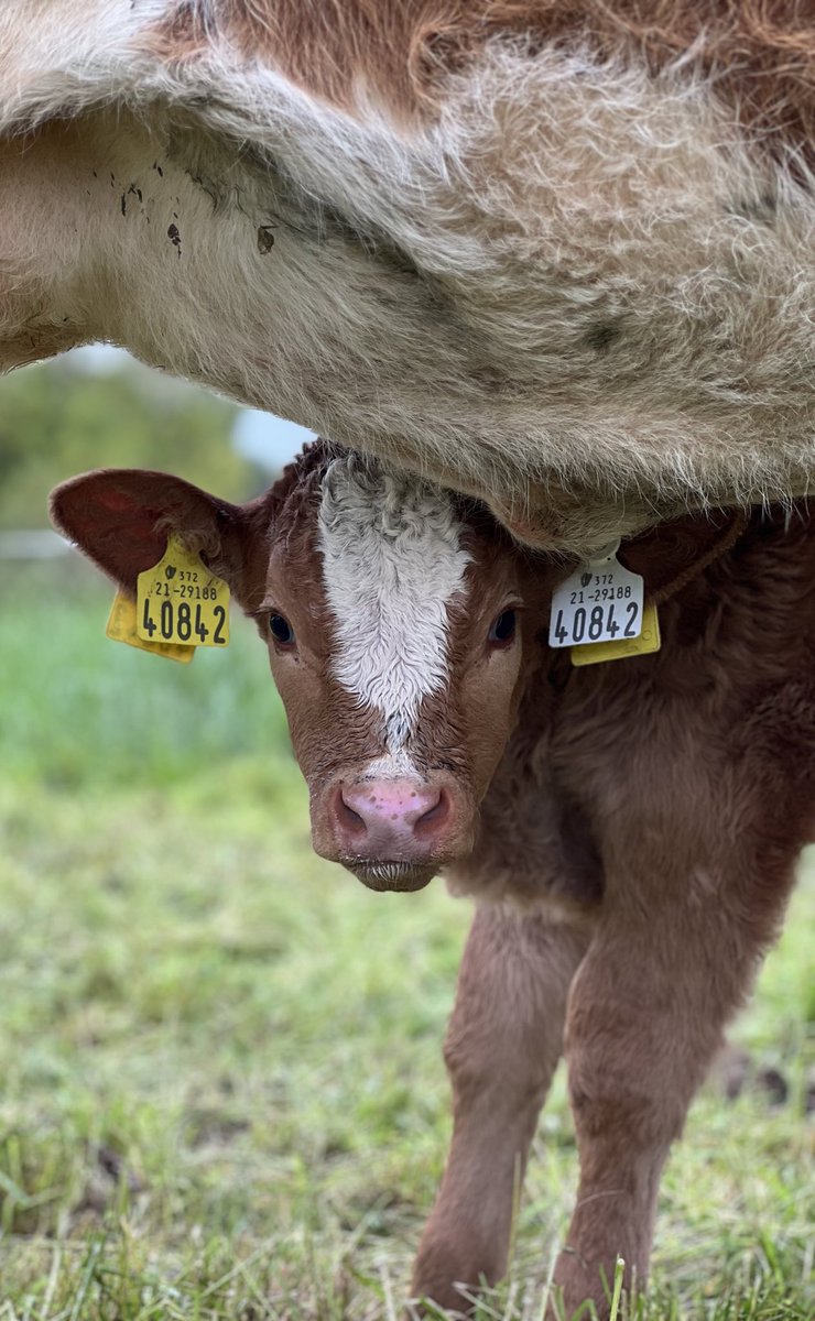 checking in on some new arrivals 🙉