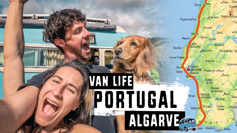 Kombi Life tweet media