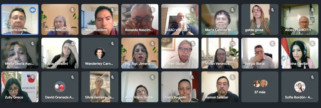 Gabina Gavilán tweet media