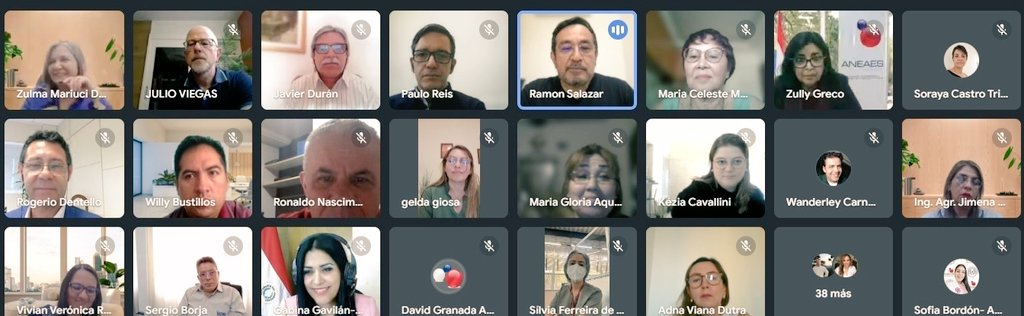 Gabina Gavilán tweet media