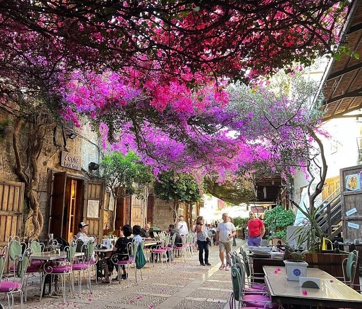 peterdaou's tweet photo. Lebanon has survived millennia of invaders. 🇱🇧

I spent my youth in Beirut and Byblos, two of the oldest cities on earth, and I trace my roots to seafaring Phoenicians.

Byblos (below) is where the word "Bible" originates, an ancient port on the crystal blue Mediterranean. https://t.co/uZk1kl9s87