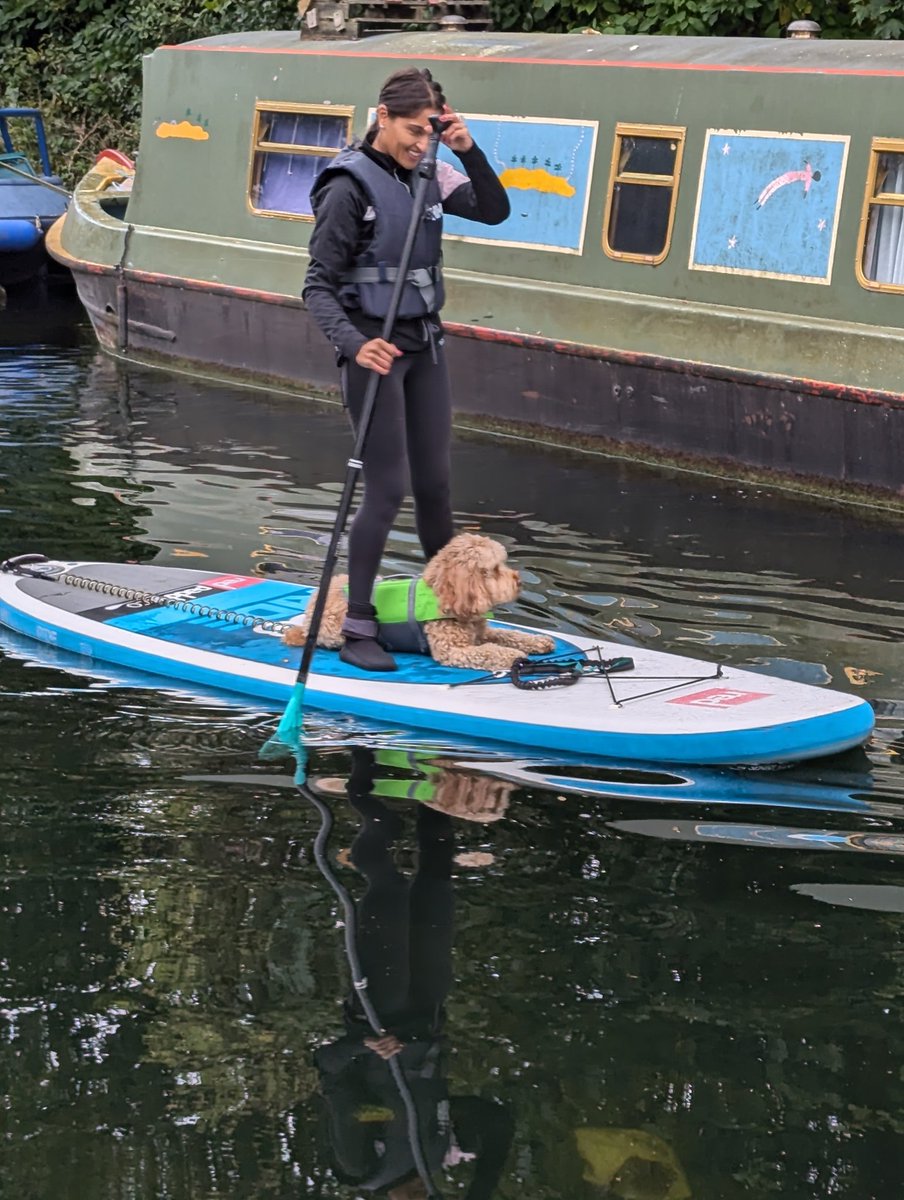 David Glot tweet media