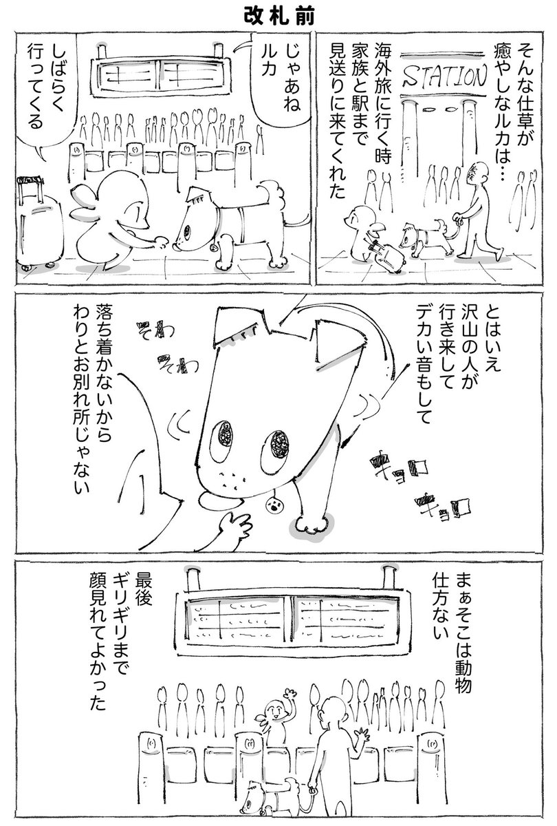 うちの犬のルカ。14【0/3】 