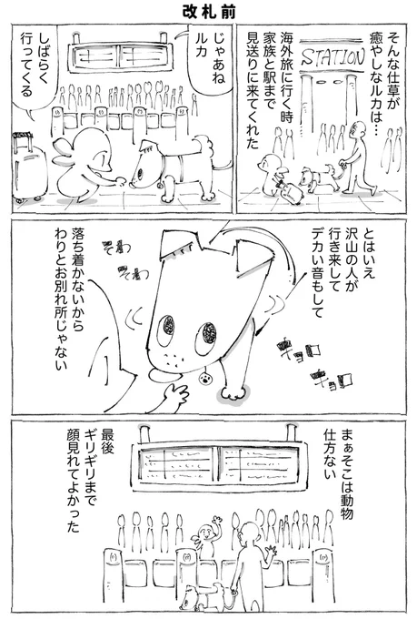 うちの犬のルカ。14【0/3】 