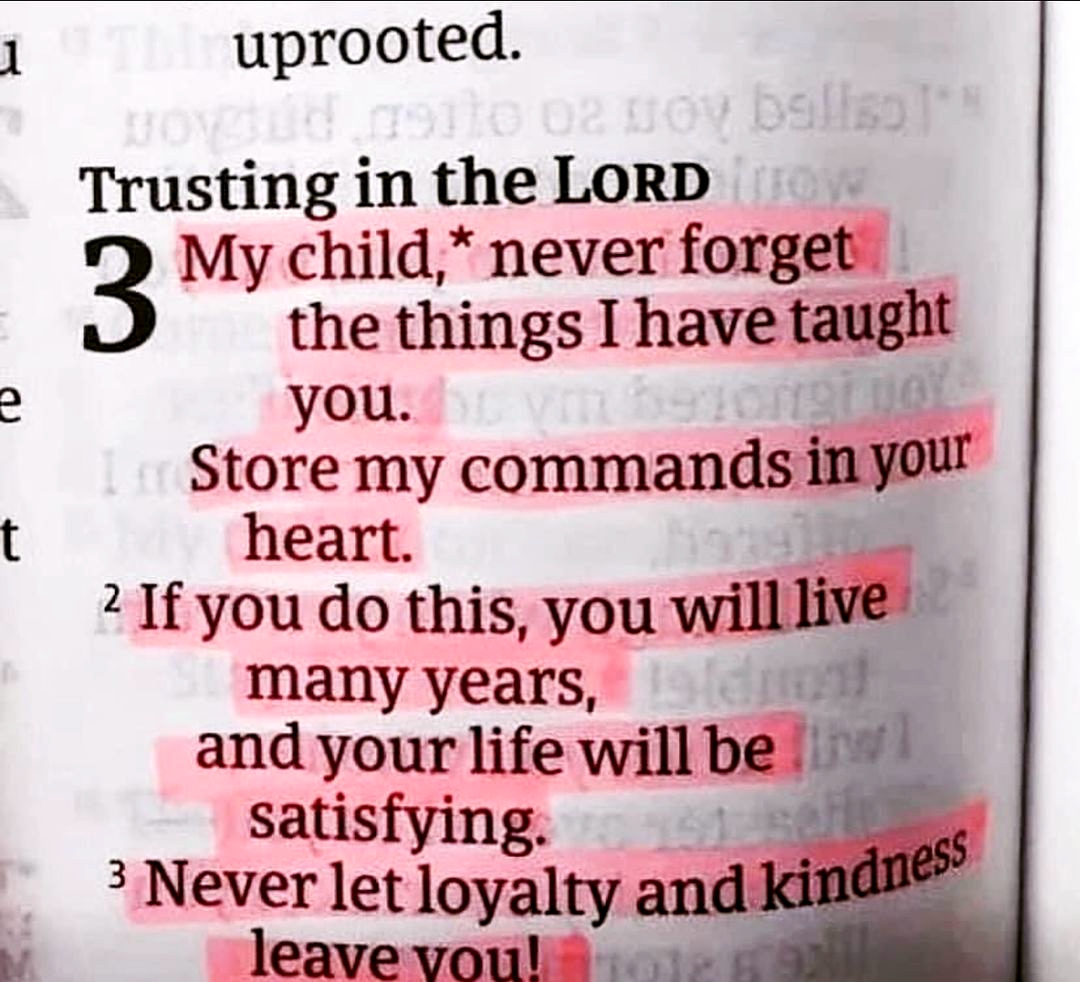 WalkwithGod7's tweet image. Amen.