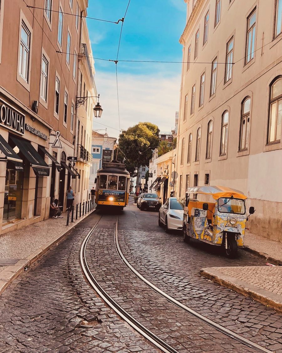 Mini 🌞🇨🇦 tweet media