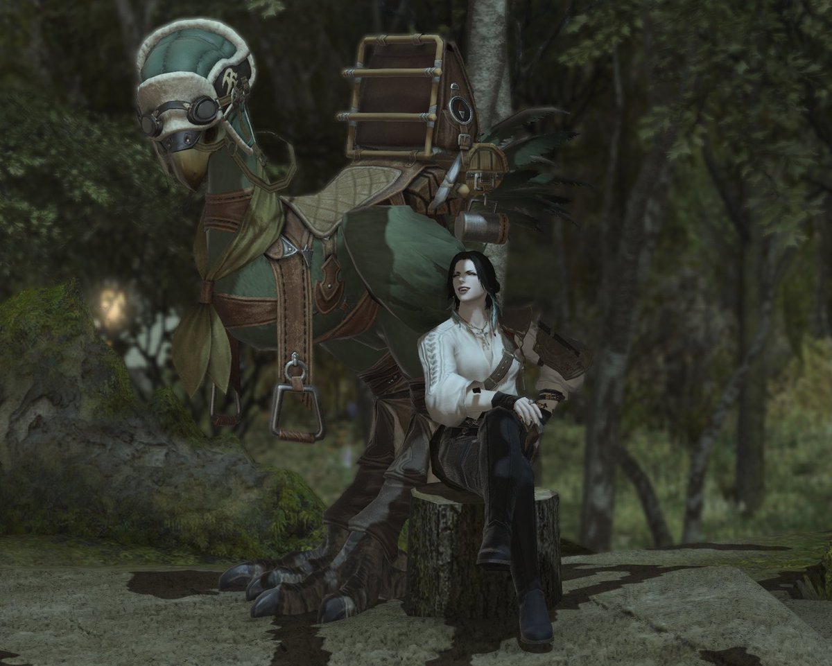 코크나무 tweet media