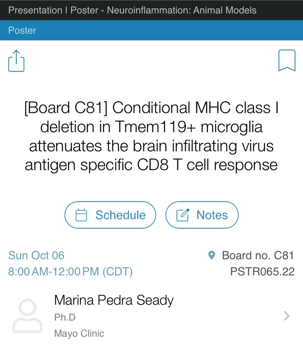 Aaron Johnson (@draaronjjohnson) on Twitter photo Come see Dr Marina Seady present the effect of conditional deletion of MHC class I molecules on neurotropic virus specific CD8 T cell responses at the morning session (poster C81) <a href="/marinaseady/">Marina Seady</a> #SfN24 Come see Dr Marina Seady present the effect of conditional deletion of MHC class I molecules on neurotropic virus specific CD8 T cell responses at the morning session (poster C81) <a href="/marinaseady/">Marina Seady</a> #SfN24