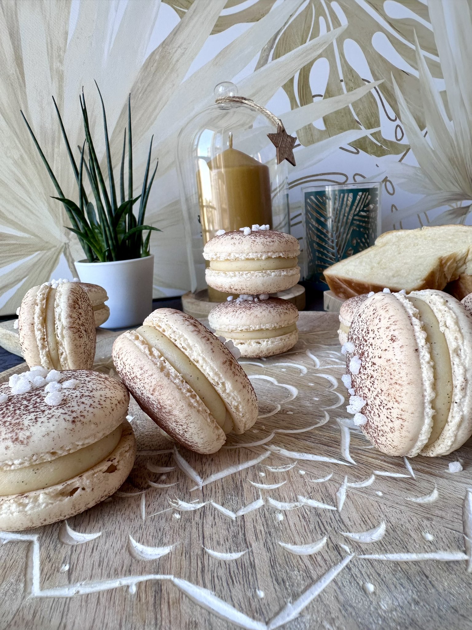 Macaron - Search / X