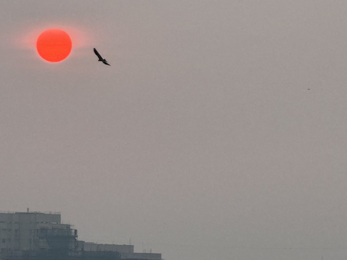 Ahmad Javed tweet media