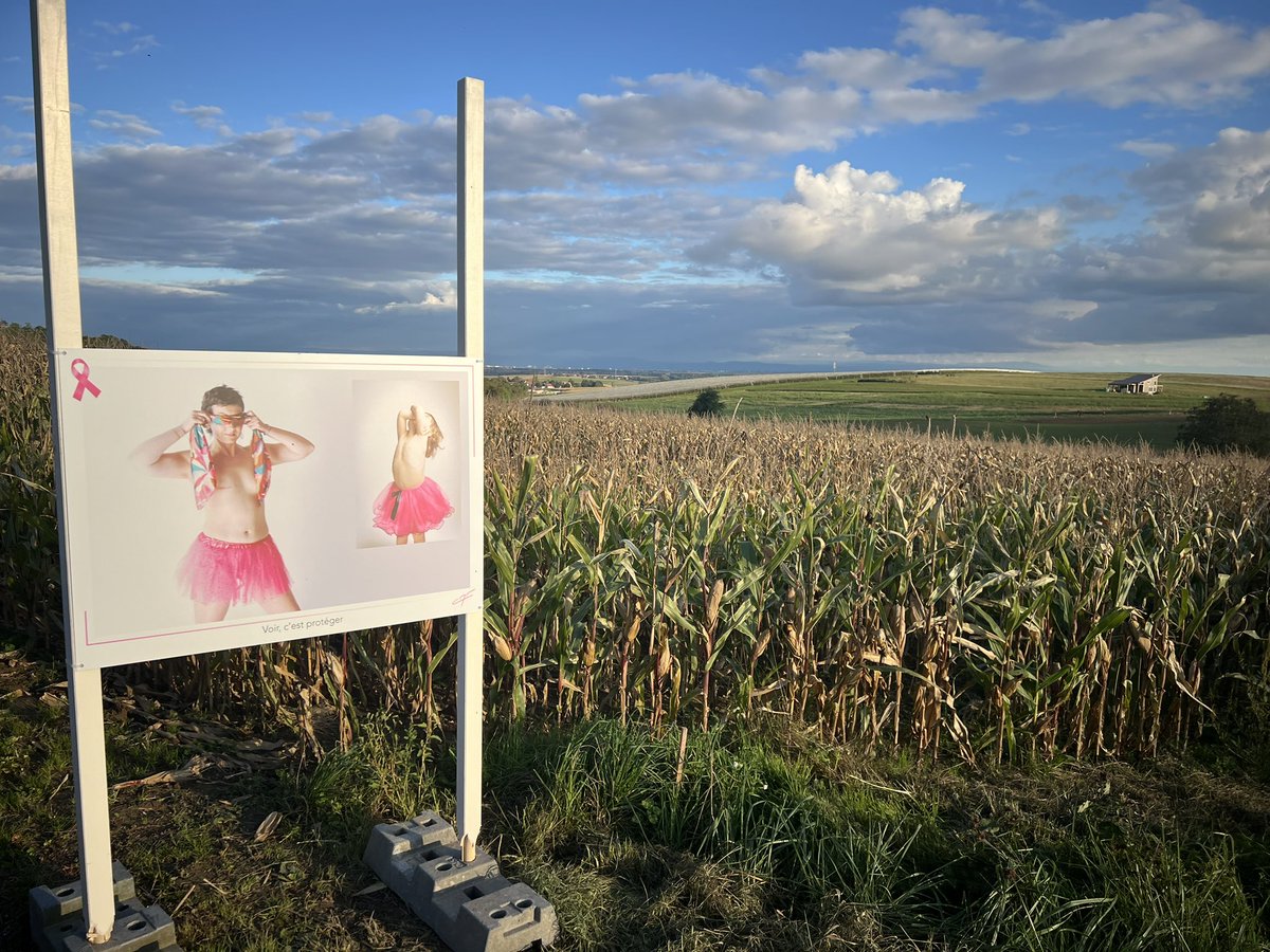 CLandomiel's tweet image. #OctobreRose une belle marche dans le #kochersberg autour de Neugartheim-Ittlenheim hier pour les Foulées Roses 2024 👍