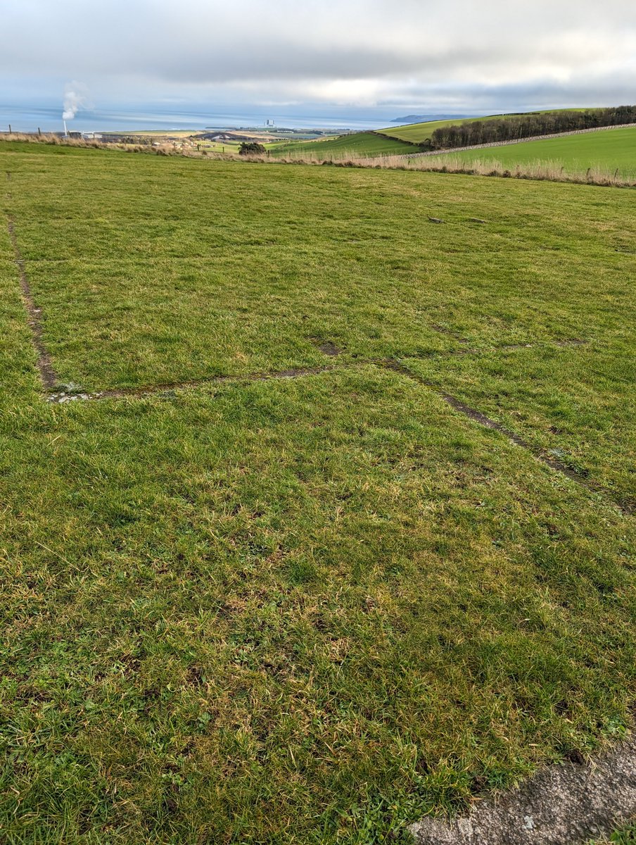 Stone Me tweet media