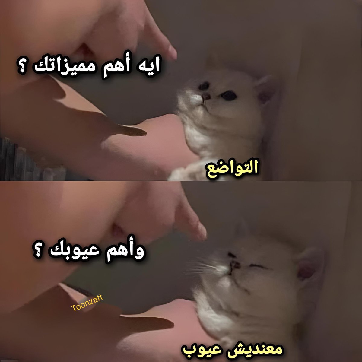 ‏أي حاجة | كود نايس ون AH88 (@toonzatt) on Twitter photo 