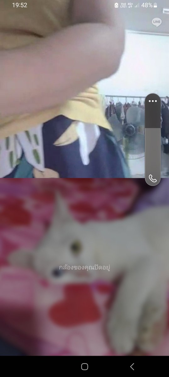 แค่ได้มองก็สบายใจ พรุ่งนี้จัด