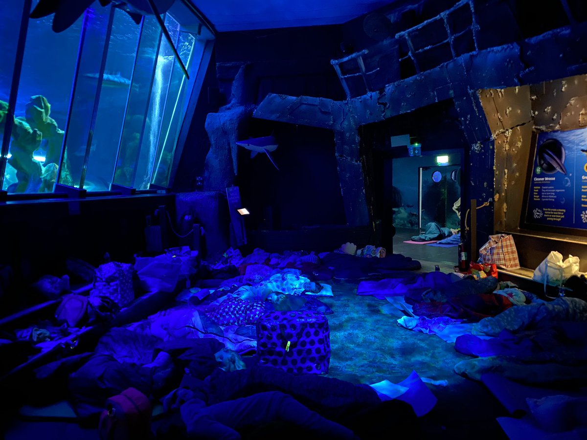 The Brownies have had a fab time in Blackpool this weekend! Huge thx to Katie and Kai from <a href="/SEALIFEcentre/">SEA LIFE Blackpool</a> for looking after us!!