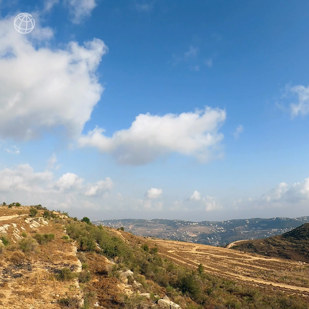 World Bank Energy tweet media