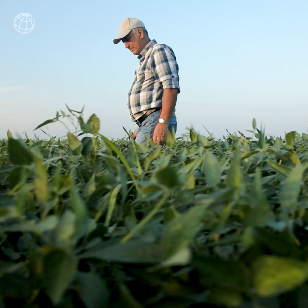 World Bank Energy tweet media