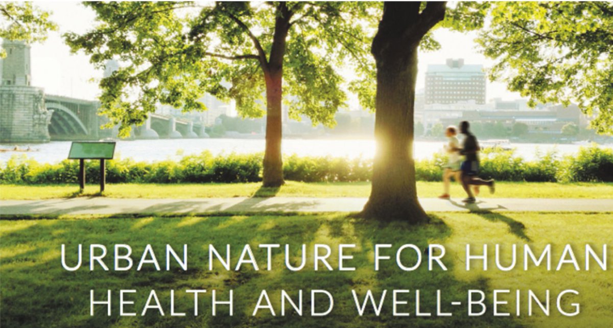 📢The fourth special edition of 2024 has been officially released! 25 articles have been published. [tandfonline.com/toc/rcah20/8/4] Volume 8, Issue 4, Cities &amp; Health (2024) #UrbanHealth #HealthyCities #Cities4Health #Wellbeing  #UrbanPlanning