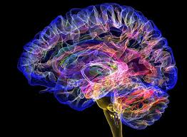 Thought for a Sunday: Great minds don’t always think alike. They challenge each other to think differently. - Author Unknown