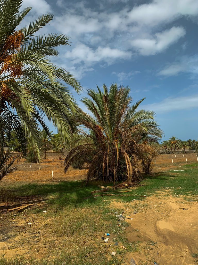 اعظم النعم في الحياة راحة البال
فإن شعرت بها فانت تملك كل شي……