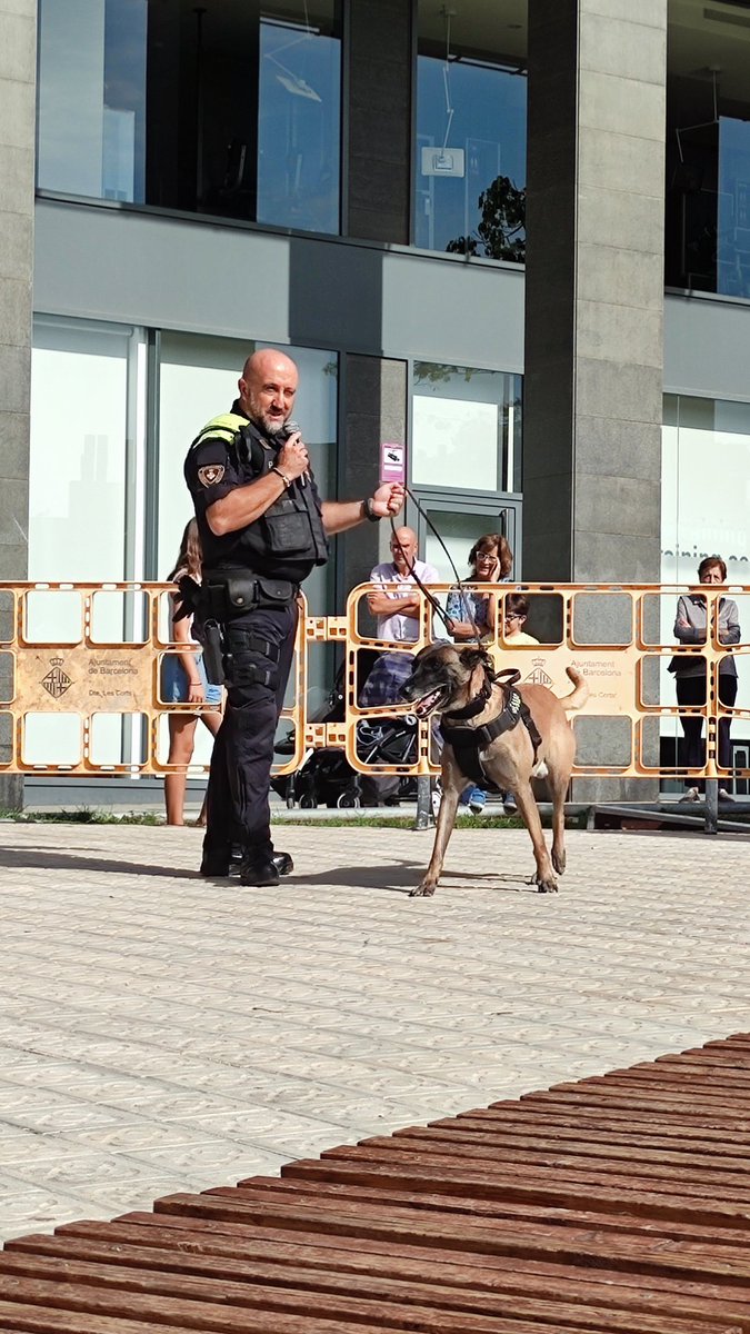 Festes del Animals tweet media