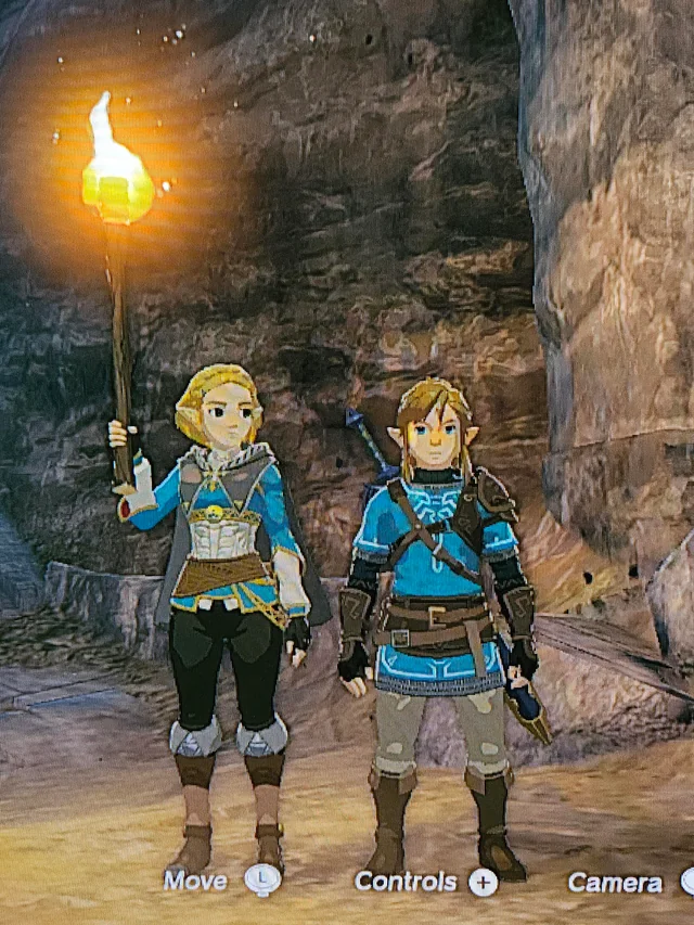 pikzel08's tweet photo. they're at their best when Link is shorter than Zelda https://t.co/CKmMsMBVyX