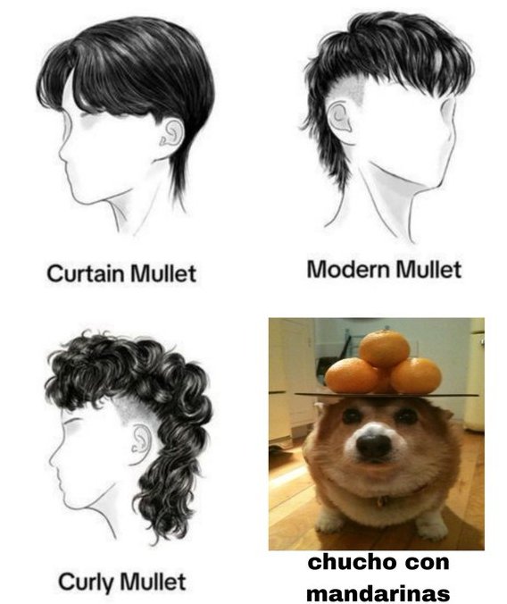 frigosouul's tweet image. 