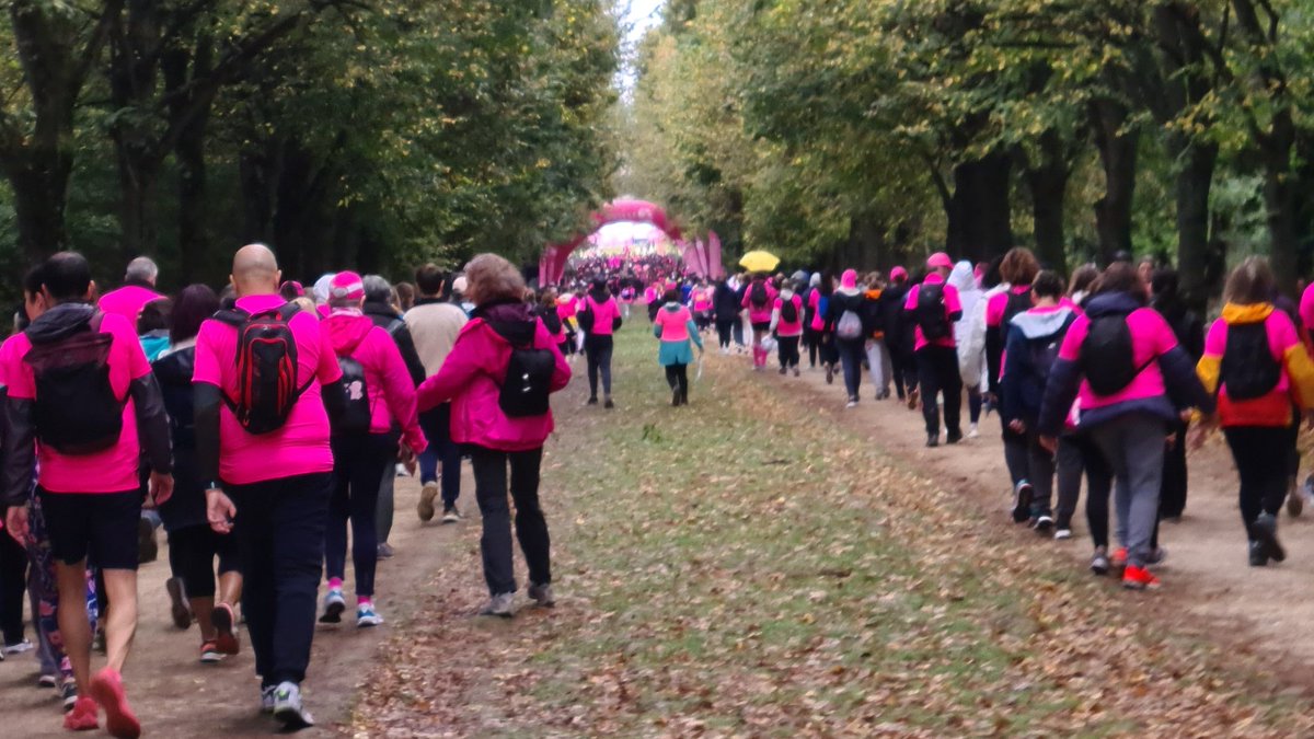Que ce soit en courses ou en marche, de tout âge, et de tout niveau, nous nous sommes tous et toutes retrouvés pour soutenir la lutte contre le cancer du sein 🩷
#Odyssea #OctobreRose