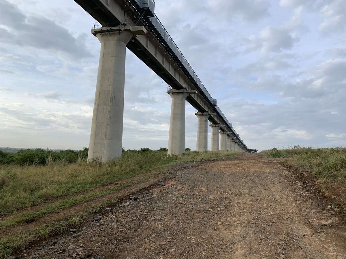 Matthew Picciotto tweet media